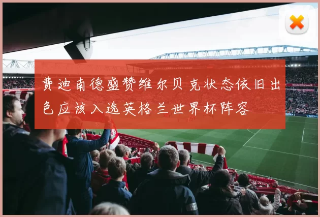 费迪南德盛赞维尔贝克状态依旧出色应该入选英格兰世界杯阵容