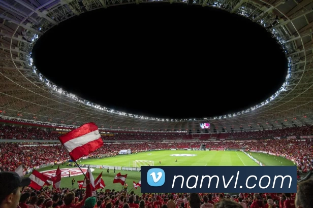 奖项证书